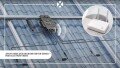 APsystems ECU-C ZigBee Energy Gateway - For Import & Export Monitoring